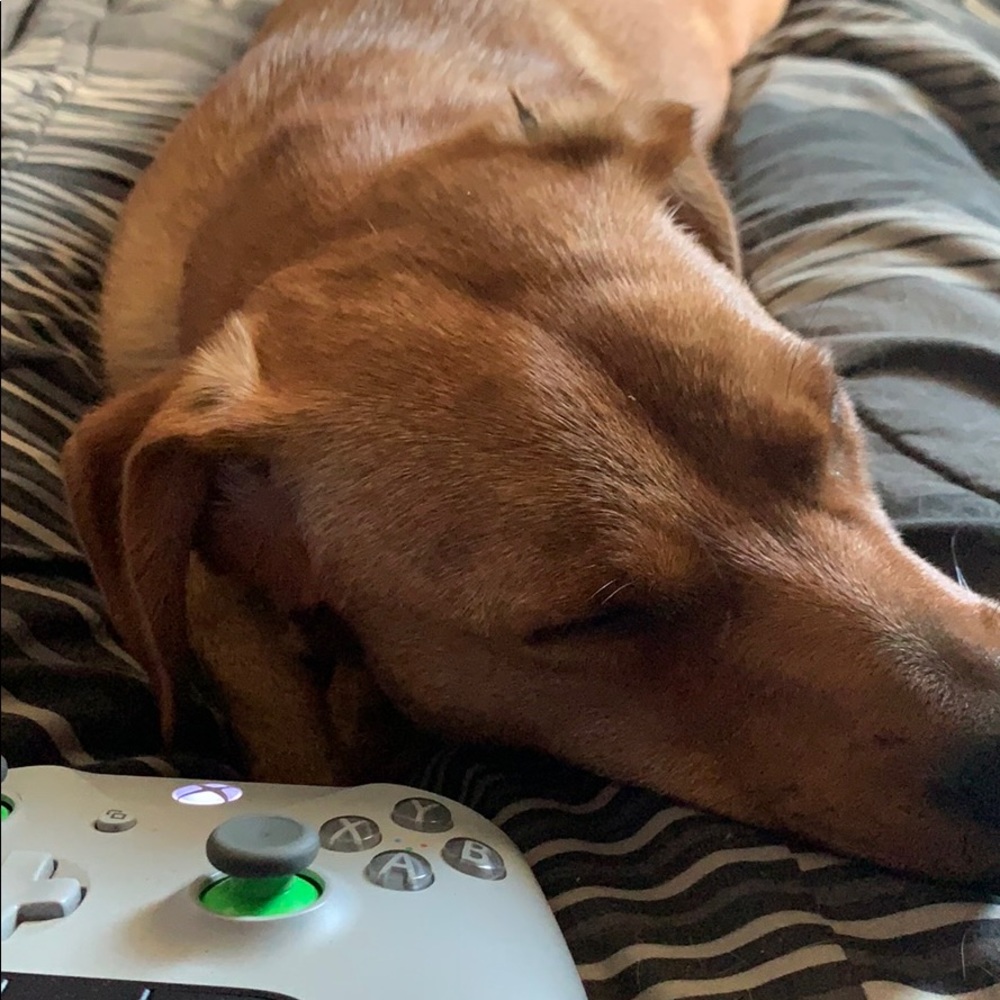 Meet your Posher, Gabriella